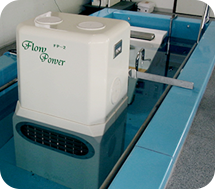 ˮFP-2